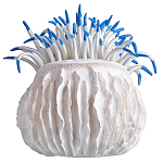 Статуэтка тропический фрукт Tropical Fruit White Blue варинант исполнения - 3 | Loft Concept в Сочи