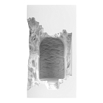 Встраиваемый в стену гипсовый светильник под покраску с эффектом разрушенной стены Antiquity Athena варинант исполнения - 2 | Loft Concept в Сочи