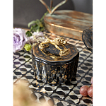 Шкатулка черного цвета с крышкой с фигуркой льва Eden Garden варинант исполнения - 6 | Loft Concept в Сочи