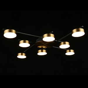 Люстра потолочная светодиодная Delayn