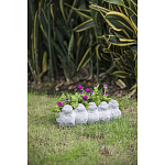 Кашпо Canaries варинант исполнения - 6 | Loft Concept в Сочи