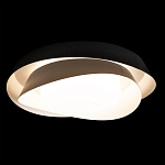 Потолочный светильник круглый черного цвета из металла Vita Cuna варинант исполнения - 1 | Loft Concept в Сочи