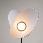 Напольный светильник Evolution 3000К 12Вт варинант исполнения - 5 | Loft Concept в Сочи