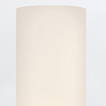 Бра для ванных комнат вертикальное с двумя матовыми белыми стеклянными плафонами Hinkley варинант исполнения - 4 | Loft Concept в Сочи