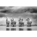 Книга Beusker. Look into my Eyes варинант исполнения - 4 | Loft Concept в Сочи