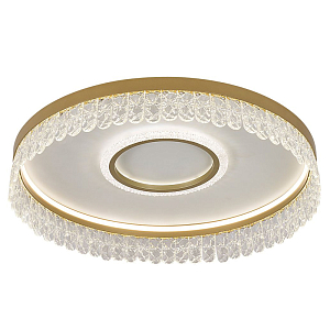 Потолочный светодиодный светильник Pettico Gold Duo