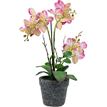 Декоративный искусственное растение Pink orchid варинант исполнения - 5 | Loft Concept в Сочи