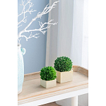 Декоративный искусственное растение Square boxwood варинант исполнения - 5 | Loft Concept в Сочи