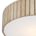 Потолочный светильник круглый светодиодный Contrasting Elements варинант исполнения - 1 | Loft Concept в Сочи