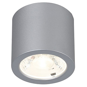 Накладной спот серебряного цвета Simple Shape 6 см