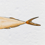 Плитка с узором Рыба Русалка варинант исполнения - 6 | Loft Concept в Сочи