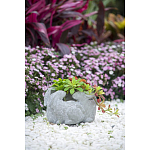 Кашпо A collection of baby rabbits варинант исполнения - 9 | Loft Concept в Сочи