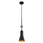 Подвесной светильник с конусным плафоном и декоративной звездой 57 см Elstead Lighting варинант исполнения - 9 | Loft Concept в Сочи
