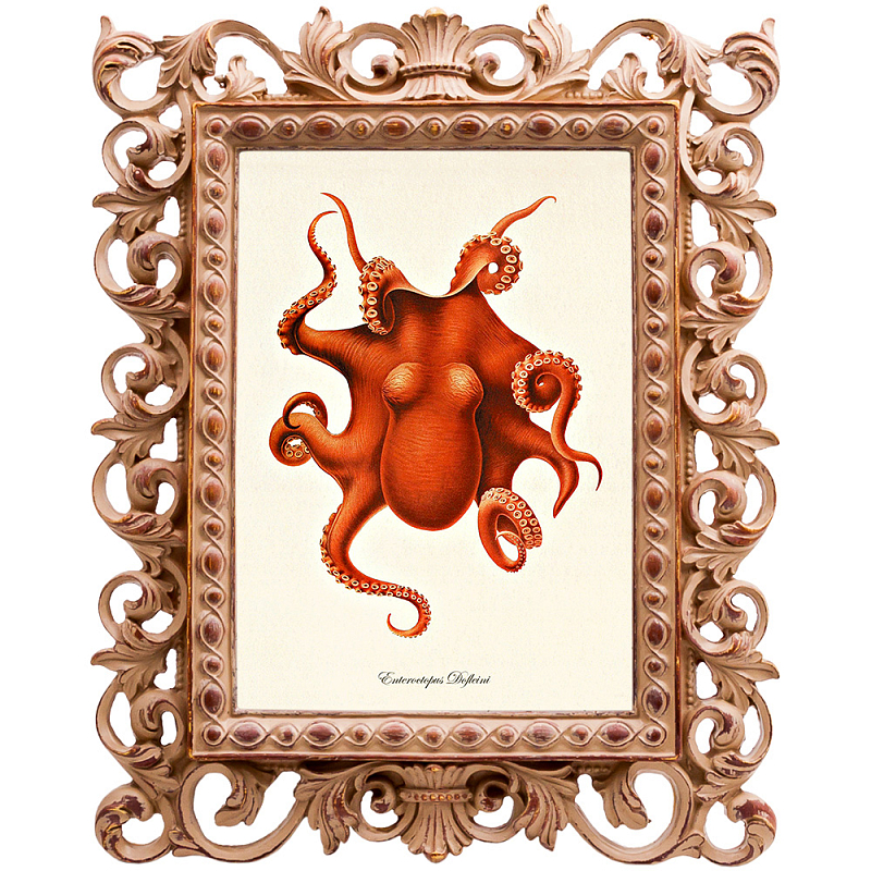 Постер Red Octopus Poster Бежевый Красный в Сочи | Loft Concept 