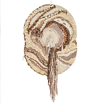 Овальный Современный Гобелен Абстракция в бежевых тонах Shallow варинант исполнения - 7 | Loft Concept в Сочи