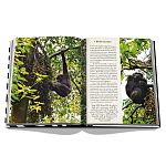 Подарочнный коллекционный фото альбом AFRICAN ADVENTURES NEW 2023 ASSOULINE HC UNBELIEVABLE ILLUSTRATIONS Safari варинант исполнения - 8 | Loft Concept в Сочи