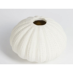 Подсвечник круглый белого цвета SeaFlowers варинант исполнения - 2 | Loft Concept в Сочи