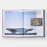 Radical Architecture of the Future варинант исполнения - 4 | Loft Concept в Сочи