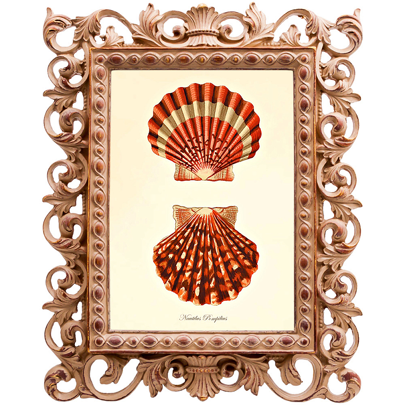 Постер Red Scallop Poster Бежевый Красный в Сочи | Loft Concept 