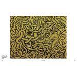 Редкое подарочное издание Yayoi Kusama: 1945 to Now варинант исполнения - 7 | Loft Concept в Сочи