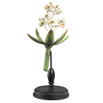 Статуэтка Wonderboom варинант исполнения - 1 | Loft Concept в Сочи