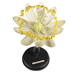 Статуэтка Tilia варинант исполнения - 1 | Loft Concept в Сочи