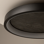 Потолочный светильник Orign 3000К варинант исполнения - 5 | Loft Concept в Сочи