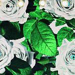 Штора Seletti Roses варинант исполнения - 1 | Loft Concept в Сочи