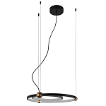 Люстра подвесная светодиодная черный металл Ring Horizontal варинант исполнения - 2 | Loft Concept в Сочи