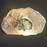 Бра Декоративный лист с стрекозой Glacial Fragment варинант исполнения - 2 | Loft Concept в Сочи