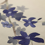 Обои ручная роспись Cherry Tree Original colourway on Stone Ochre dyed silk варинант исполнения - 3 | Loft Concept в Сочи