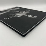 Коллекционная редкая книга Madonna: Nudes + by Martin H.M. Schreiber 2017 Букинистика варинант исполнения - 4 | Loft Concept в Сочи