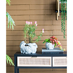 Кашпо A collection of baby rabbits варинант исполнения - 5 | Loft Concept в Сочи