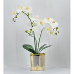 Декоративный искусственное растение Lush Orchid варинант исполнения - 2 | Loft Concept в Сочи