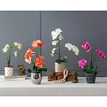 Декоративный искусственное растение Pink orchid варинант исполнения - 11 | Loft Concept в Сочи