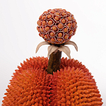 Статуэтка тропический фрукт Tropical Fruit Orange Prickly Berry варинант исполнения - 2 | Loft Concept в Сочи