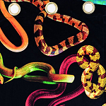 Штора Seletti Snakes Black варинант исполнения - 1 | Loft Concept в Сочи