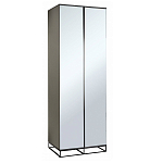 Двухдверный шкаф с зеркальными дверцами Strict Lines варинант исполнения - 1 | Loft Concept в Сочи