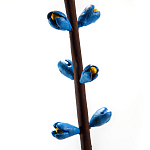 Синий экзотический фрукт статуэтка для интерьераTropical Fruit Pandora 9 варинант исполнения - 2 | Loft Concept в Сочи