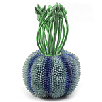 Статуэтка экзотический фрукт Exotic Tropical Fruit Green and Blue 64 варинант исполнения - 1 | Loft Concept в Сочи