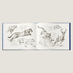 Лимитированная подарочная книга HERMES Fierce and Fragile book, English version варинант исполнения - 4 | Loft Concept в Сочи