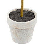 Декоративный искусственное растение Boxwood One варинант исполнения - 3 | Loft Concept в Сочи