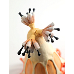 Статуэтка тропический фрукт Pandora Tropical Fruit Orange варинант исполнения - 3 | Loft Concept в Сочи