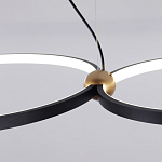 Люстра подвесная светодиодная черный металл Ring Horizontal варинант исполнения - 11 | Loft Concept в Сочи