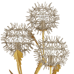 Торшер в виде цветка одуванчика Hanging Dandelion варинант исполнения - 1 | Loft Concept в Сочи