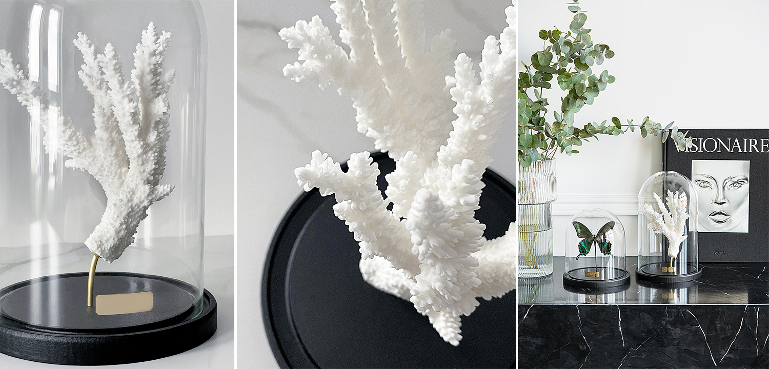 Статуэтка Natural Coral Branch Glass Cloche Статуэтка Natural Coral Branch Glass Cloche - Loft-Concept в Сочи