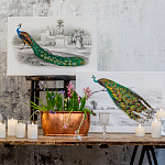 Постер на холсте с изображением павлина на ветке Majestic Peacock on a Tree Poster варинант исполнения - 3 | Loft Concept в Сочи