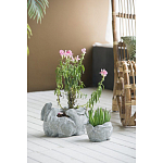 Кашпо A collection of baby rabbits варинант исполнения - 4 | Loft Concept в Сочи