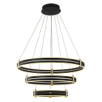 Люстра светодиодная с 3-мя плафонами в форме колец из акрила и алюминия с пультом для регулировки света Ring Horizontal Anthracite варинант исполнения - 1 | Loft Concept в Сочи