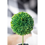 Декоративный искусственное растение Boxwood One варинант исполнения - 8 | Loft Concept в Сочи